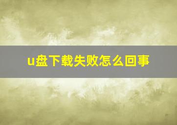 u盘下载失败怎么回事