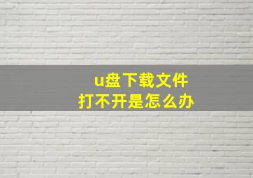 u盘下载文件打不开是怎么办