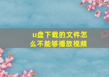 u盘下载的文件怎么不能够播放视频