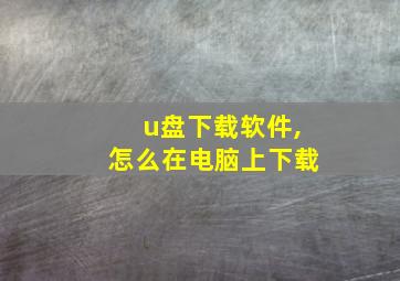 u盘下载软件,怎么在电脑上下载