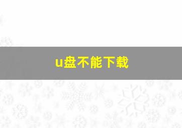 u盘不能下载