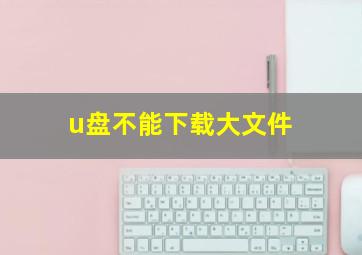 u盘不能下载大文件