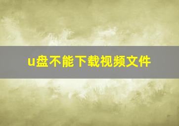 u盘不能下载视频文件