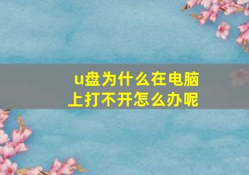 u盘为什么在电脑上打不开怎么办呢