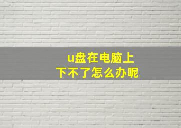 u盘在电脑上下不了怎么办呢