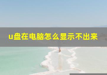 u盘在电脑怎么显示不出来