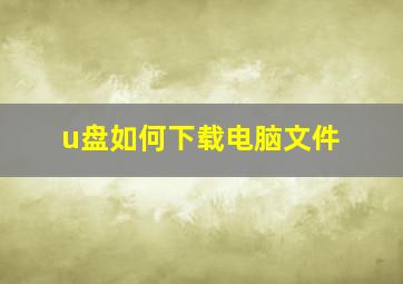 u盘如何下载电脑文件