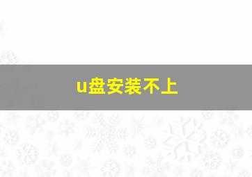 u盘安装不上