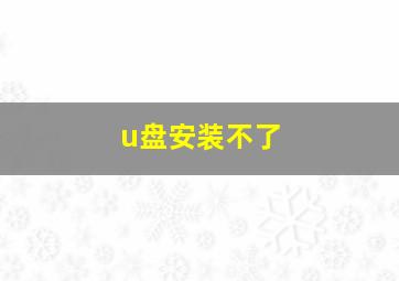 u盘安装不了