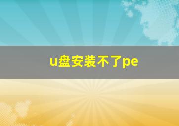 u盘安装不了pe