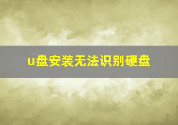 u盘安装无法识别硬盘