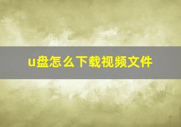 u盘怎么下载视频文件