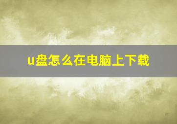 u盘怎么在电脑上下载