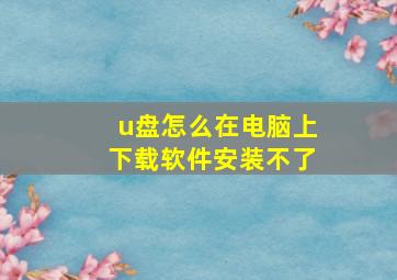 u盘怎么在电脑上下载软件安装不了