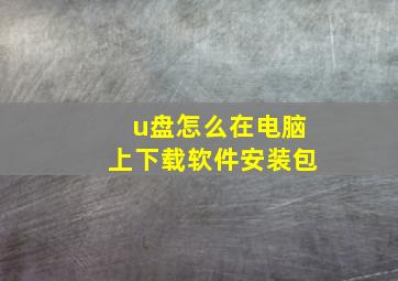 u盘怎么在电脑上下载软件安装包