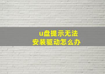 u盘提示无法安装驱动怎么办