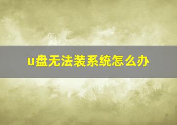 u盘无法装系统怎么办