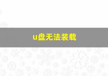 u盘无法装载