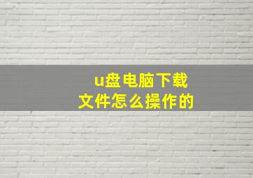 u盘电脑下载文件怎么操作的