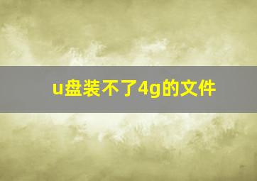 u盘装不了4g的文件