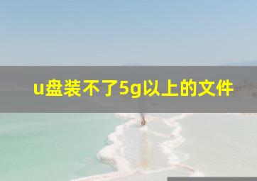 u盘装不了5g以上的文件