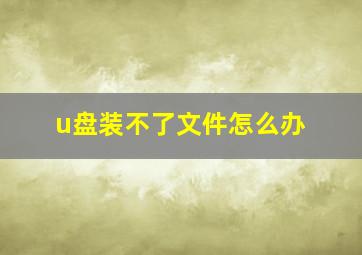 u盘装不了文件怎么办