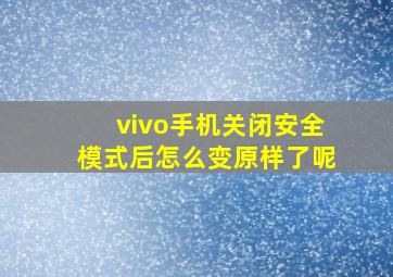 vivo手机关闭安全模式后怎么变原样了呢