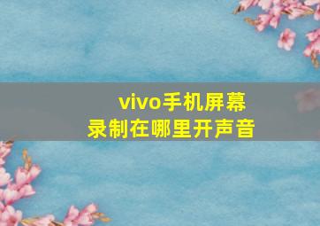 vivo手机屏幕录制在哪里开声音