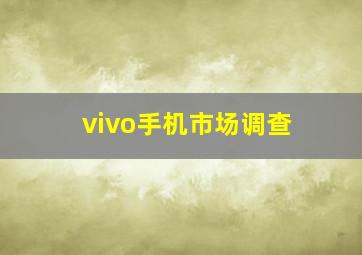 vivo手机市场调查