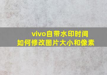 vivo自带水印时间如何修改图片大小和像素