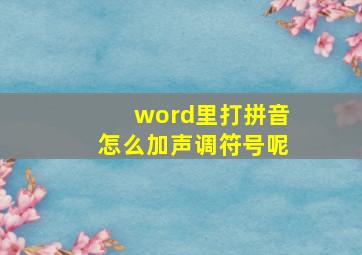 word里打拼音怎么加声调符号呢