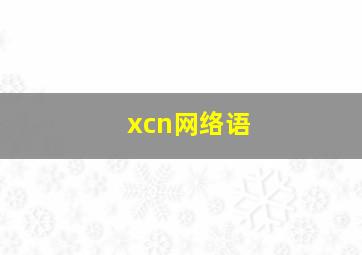 xcn网络语