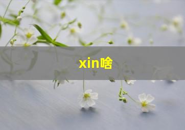 xin啥