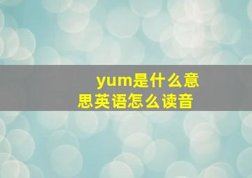 yum是什么意思英语怎么读音