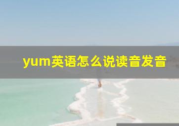 yum英语怎么说读音发音