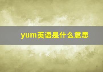 yum英语是什么意思