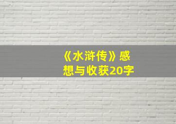 《水浒传》感想与收获20字