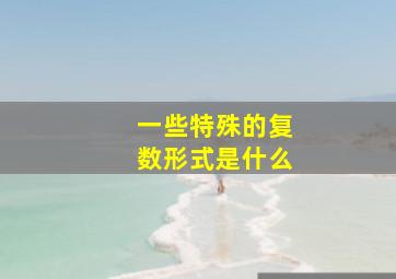 一些特殊的复数形式是什么