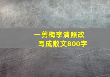 一剪梅李清照改写成散文800字