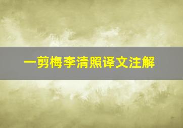 一剪梅李清照译文注解