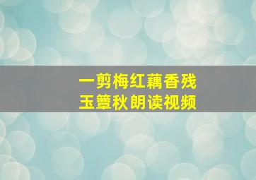 一剪梅红藕香残玉簟秋朗读视频