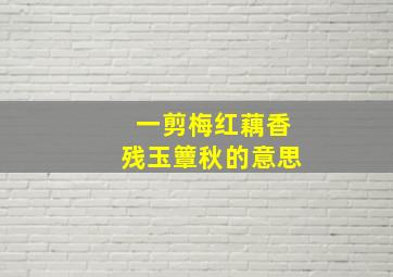 一剪梅红藕香残玉簟秋的意思