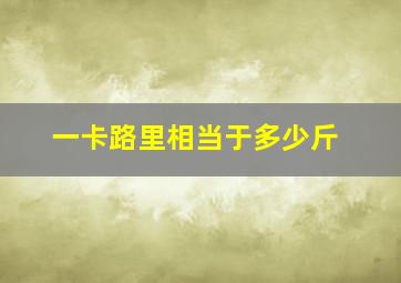 一卡路里相当于多少斤