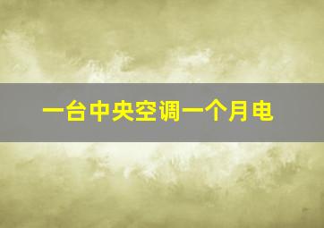 一台中央空调一个月电