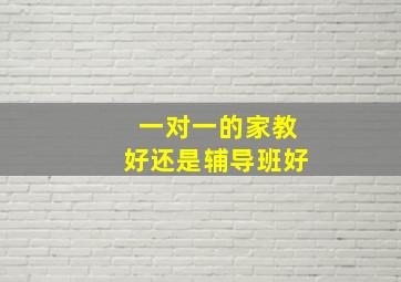 一对一的家教好还是辅导班好