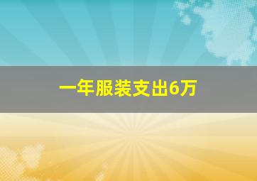 一年服装支出6万