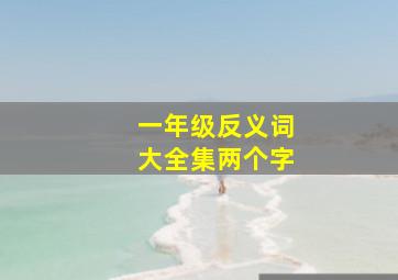 一年级反义词大全集两个字