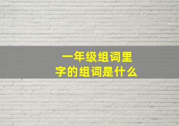 一年级组词里字的组词是什么