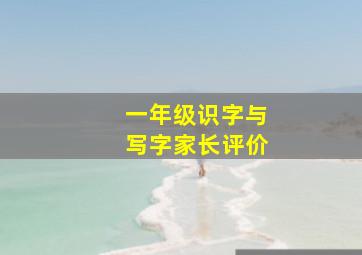 一年级识字与写字家长评价