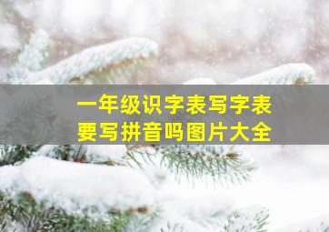 一年级识字表写字表要写拼音吗图片大全